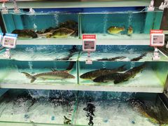 -盒马鲜生(财富中心店)