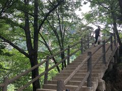 -王顺山国家森林公园