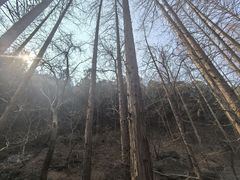 -国家植物园南园