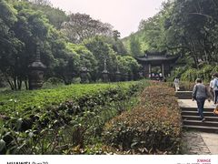 -灵隐飞来峰景区