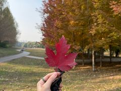 -长白岛森林公园