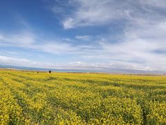 -青海湖国家重点风景名胜区