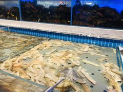 -一方渔歌蒸汽海鲜自助(文化路万达广场店)