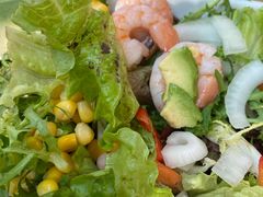 -ZOO COFFEE动物园咖啡(望京锐创店)