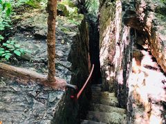 -天女山森林公园