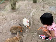 -西霞口神雕山野生动物世界