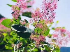 -周口店坡峰岭风景区