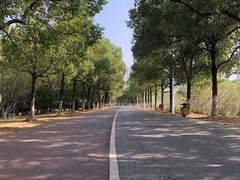 -艾溪湖湿地公园