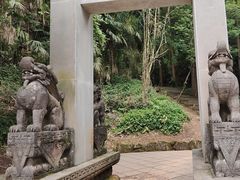 -凤栖山