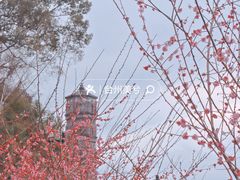 -紫阳古街