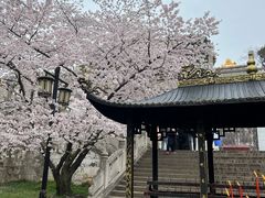 -苏州上方山国家森林公园