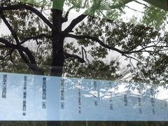-广州国际生物岛山地公园揽胜园