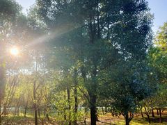 -贵阳市花溪国家城市湿地公园