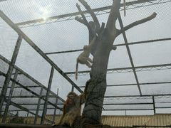 -西安秦岭野生动物园