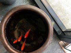 -囿面传统制面馆(中央路店)