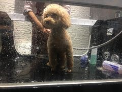 -MOLLY'S萌宠生活馆