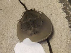 -石家庄海洋公园