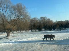 -哈尔滨中央大街华特酒店