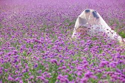 点击看大图 iphone_upload_pic-戛纳印象摄影(潮拍定制馆)