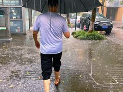 -徐记羊肉馆(新龙路店)