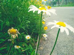 -白鹭湾湿地公园