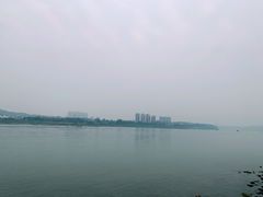 -张坝桂圆林公园