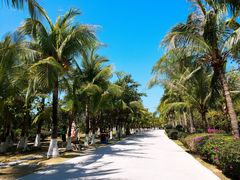 -三亚西岛海洋文化旅游区