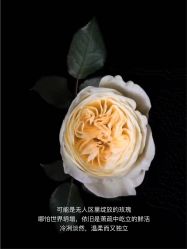 点击看大图 -美丽妈妈产后恢复中心(南桥旗舰店)