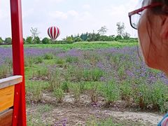 -歌斐颂巧克力小镇