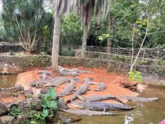 -海南热带野生动植物园