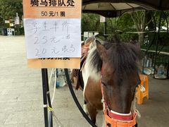 -杭州少年儿童公园
