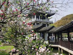 -无锡蠡湖国家湿地公园-蠡园