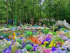 -洛阳白云山景区