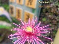 -南山植物园
