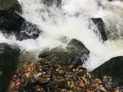 -藏龙百瀑风景区