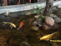 -山有花啡餐厅(常营总店)