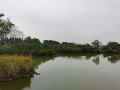-海上田园