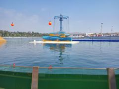 海豚表演-秦皇岛乐岛海洋王国