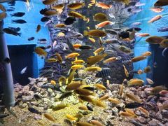 -威海华夏城景区