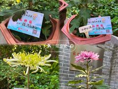 -广州文化公园
