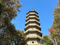 -灵谷景区