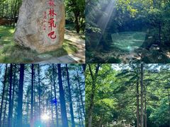 -洛阳白云山景区