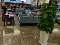 -郑州新郑国际机场T2航站楼-贵宾厅B区