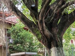 -永安龟山公园