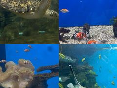 -福州罗源湾海洋世界旅游区