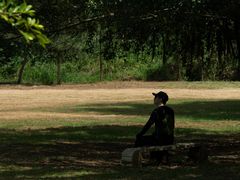 -南宁良凤江国家森林公园