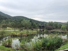 -石塘人家