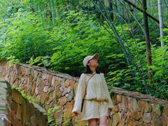 -素山寺森林公园