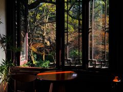 -中国茶叶博物馆(双峰馆区)