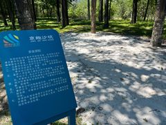 -大望京公园
